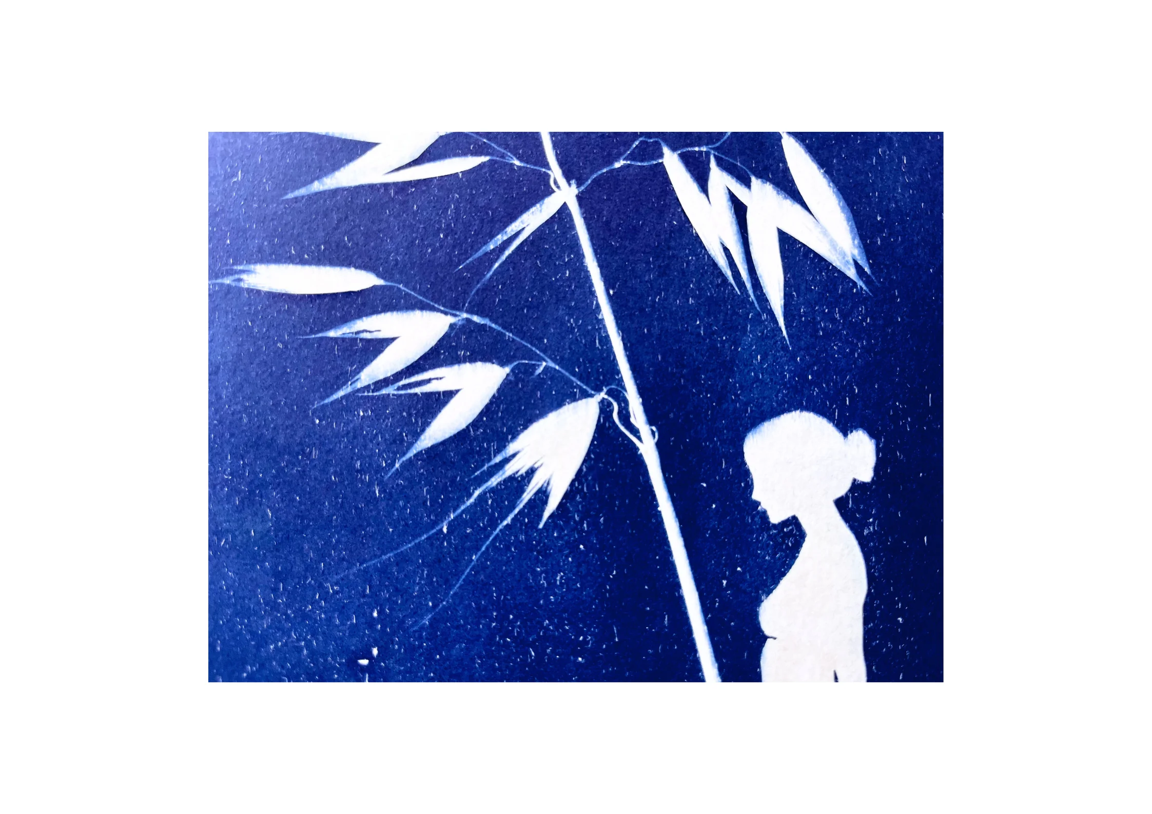Bleu Sauvage  par Chiara Coppola